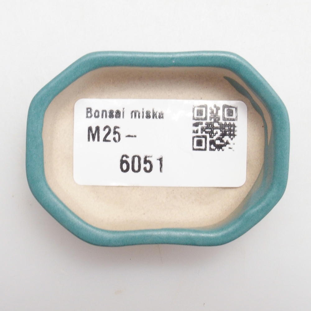 Ciotola bonsai in ceramica 6,5 x 5,5 x 4 cm, colore blu