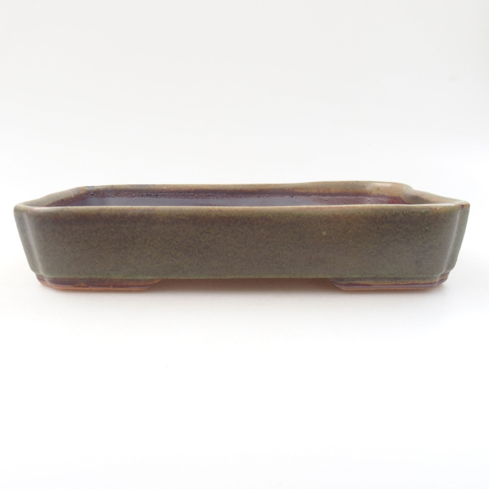 Ciotola bonsai in ceramica 22 x 17 x 5 cm, verde