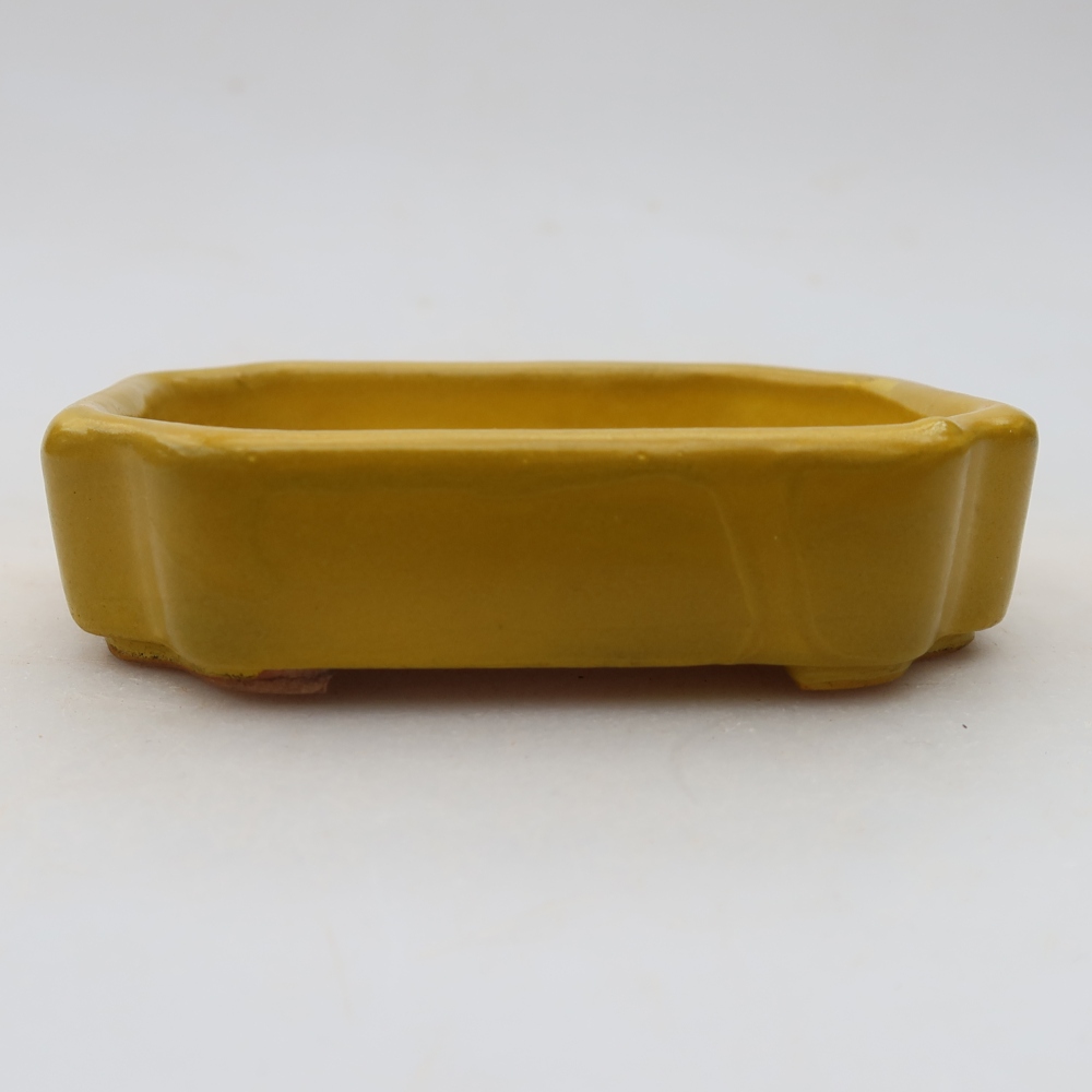 Vaso da bonsai in ceramica 10 x 8 x 2,5 cm, colore giallo