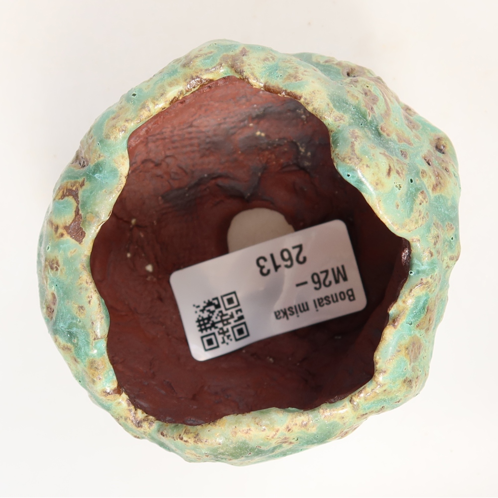 Guscio in ceramica  7 x 7 x 6 cm, colore verde