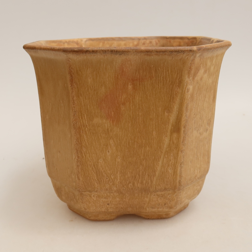 Vaso da bonsai in ceramica 17,5 x 17,5 x 15,5 cm, colore beige
