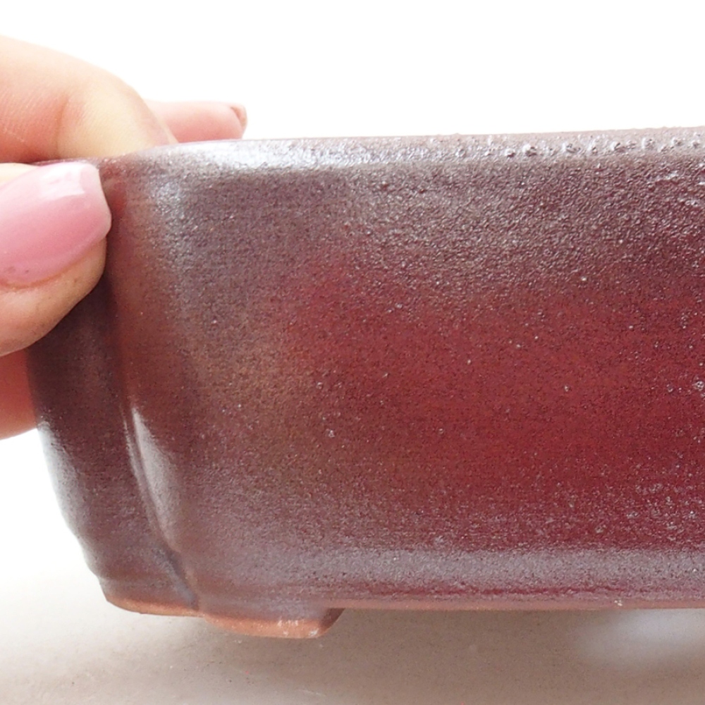 Ciotola per bonsai in ceramica 18 x 13 x 5 cm, marrone