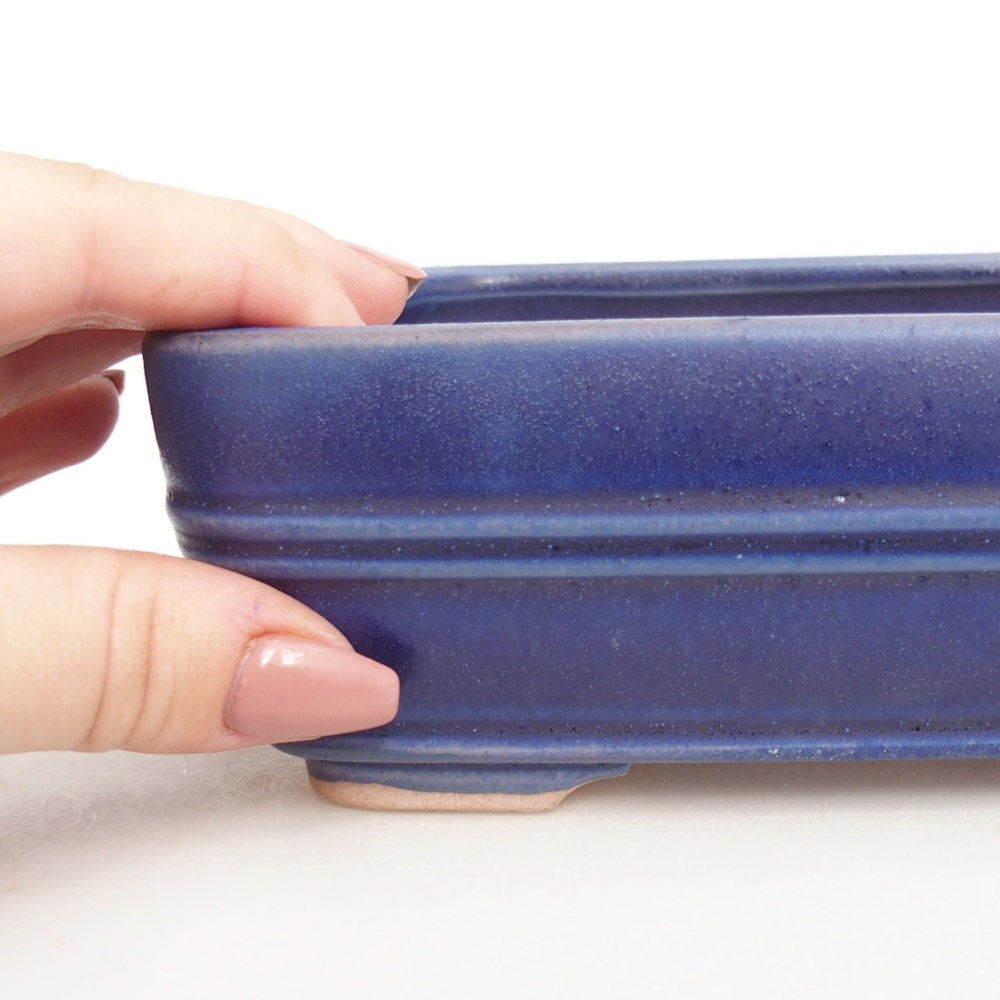 Ciotola bonsai in ceramica 16,5 x 12 x 5,5 cm, colore blu