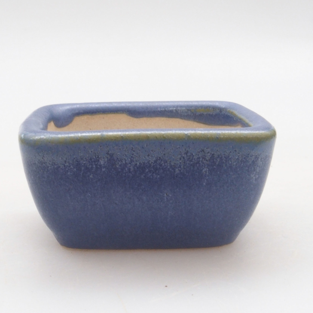 Mini bonsai 5,5 x 4 x 2,5 cm, colore blu