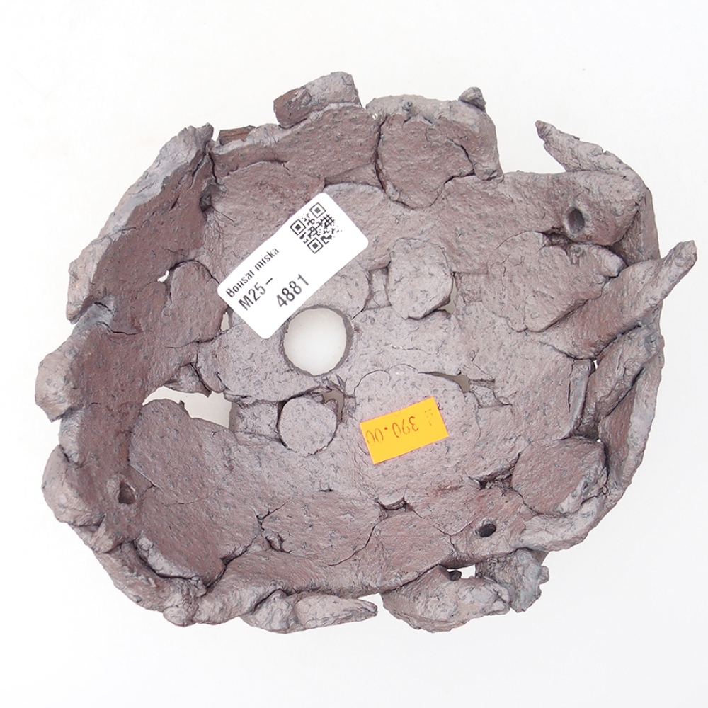 Conchiglia in ceramica 16 x 14 x 6,5 cm , colore metallizzato