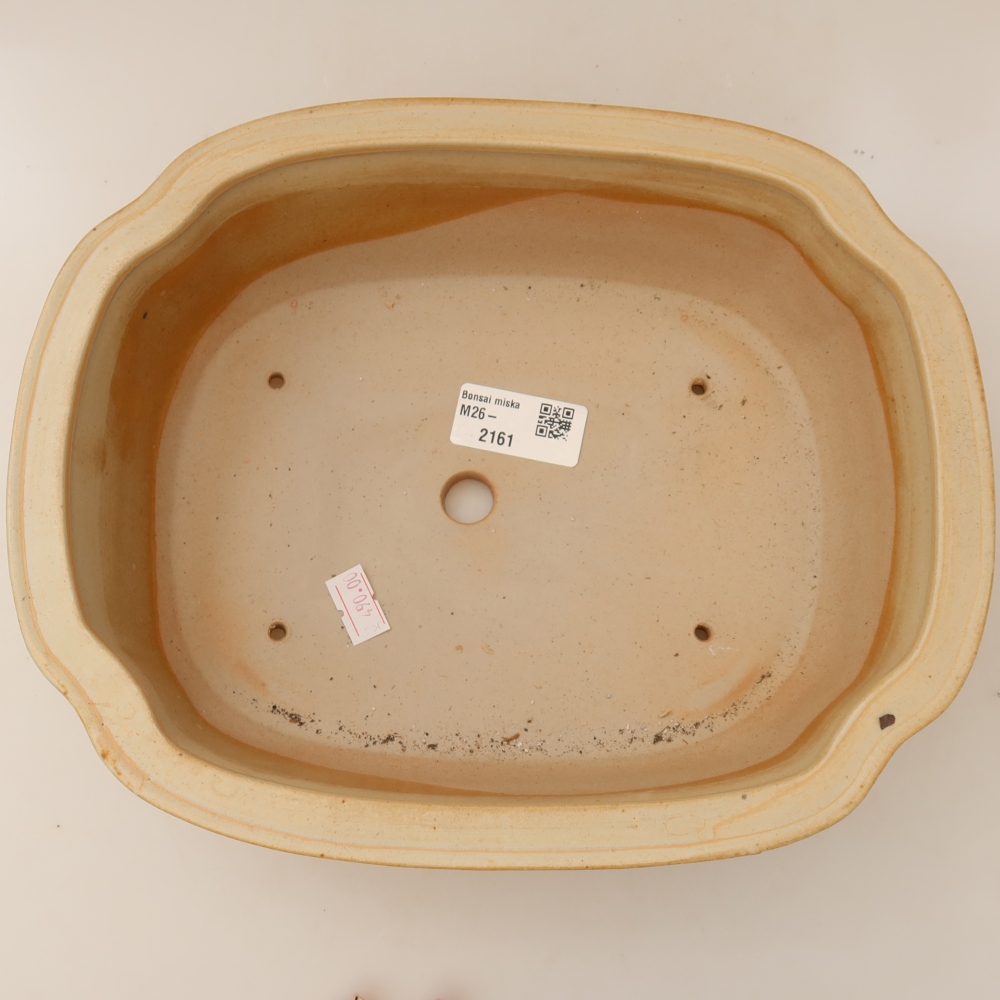 Vaso da bonsai in ceramica 24,5 x 21 x 7,5 cm, colore beige
