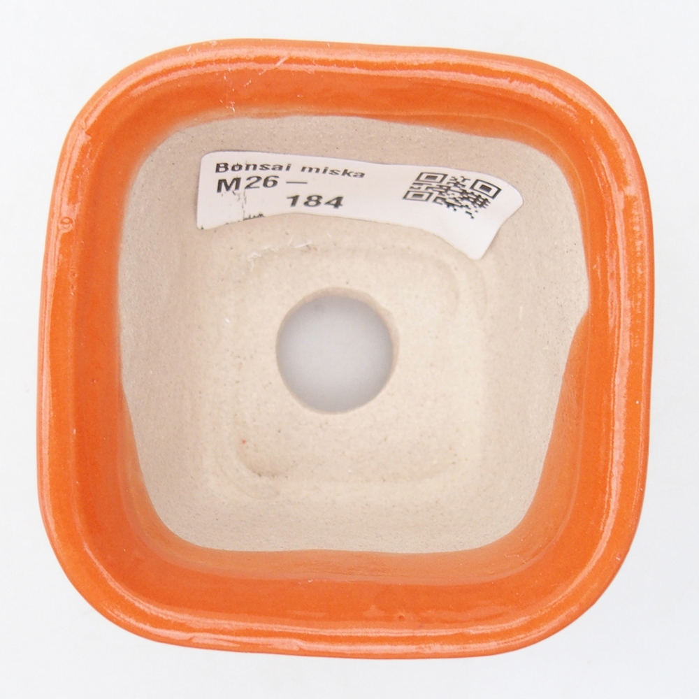 Mini bonsai 6,5 x 6,5 x 4,5 cm, arancione