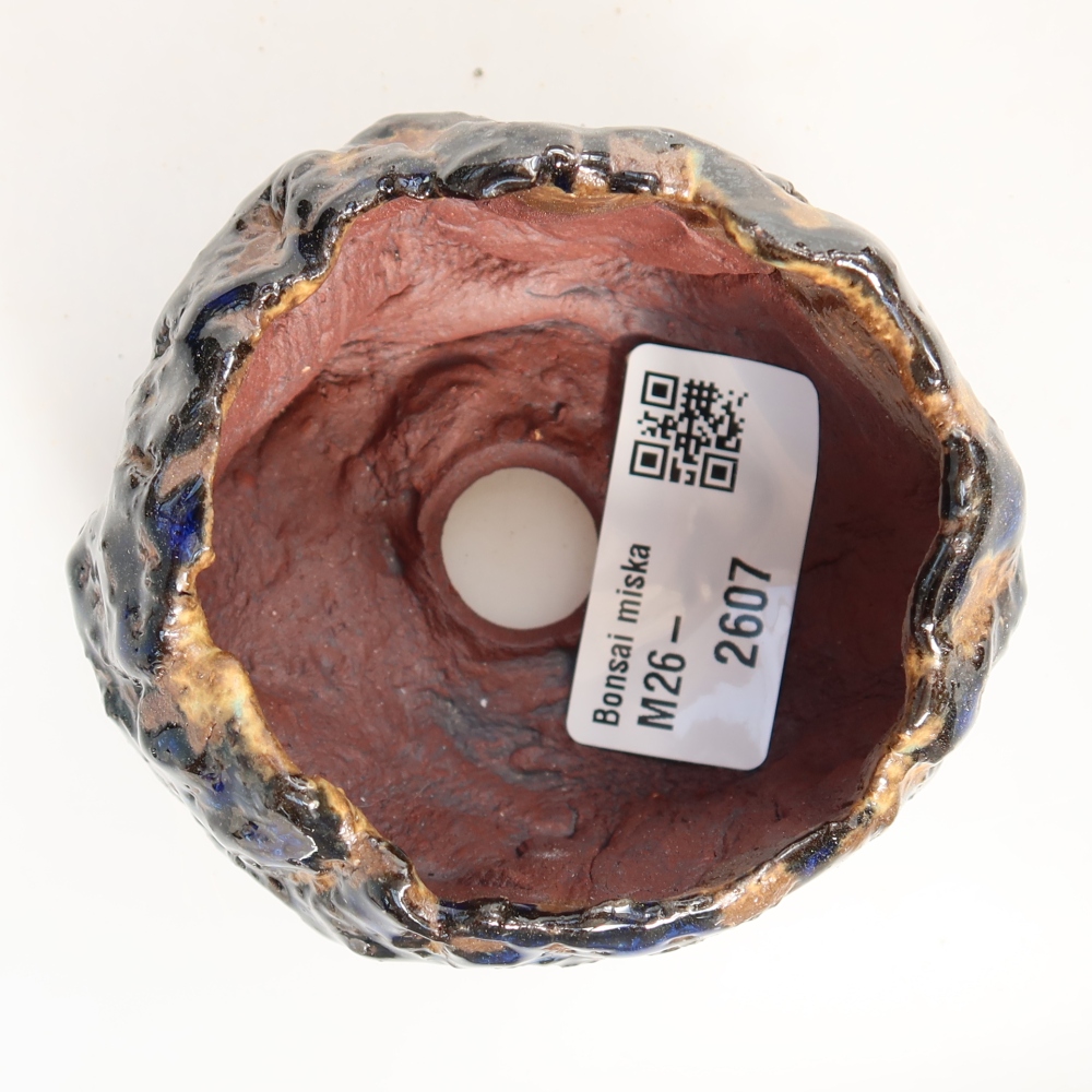 Guscio in ceramica  7 x 7 x 5,5 cm, colore blu-marrone
