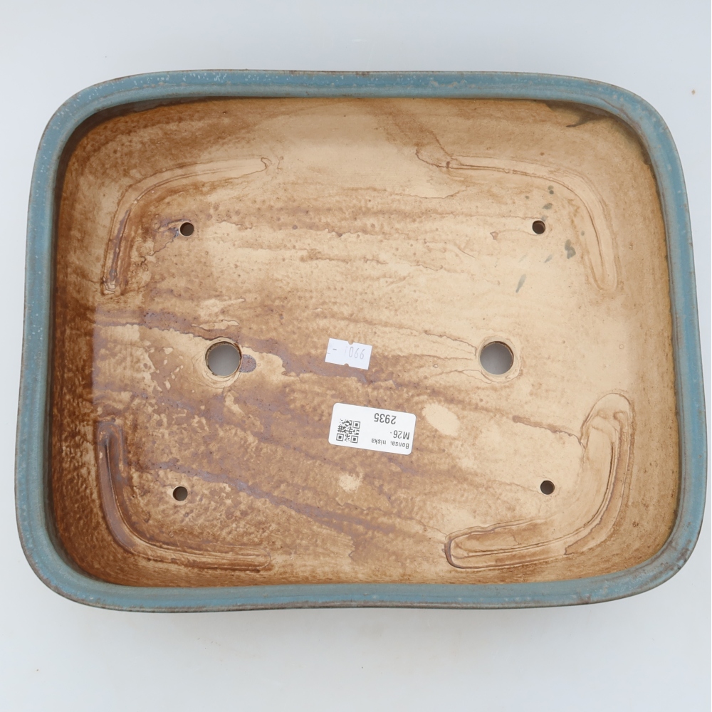 Vaso da bonsai in ceramica 29 x 23,5 x 7,5 cm, colore blu