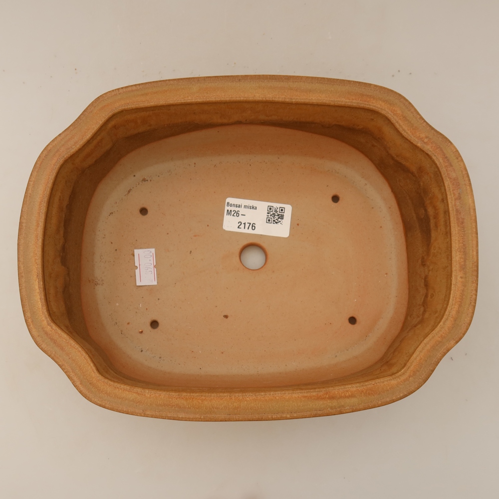 Ciotola bonsai in ceramica 22,5 x 17,5 x 7,5 cm, colore beige