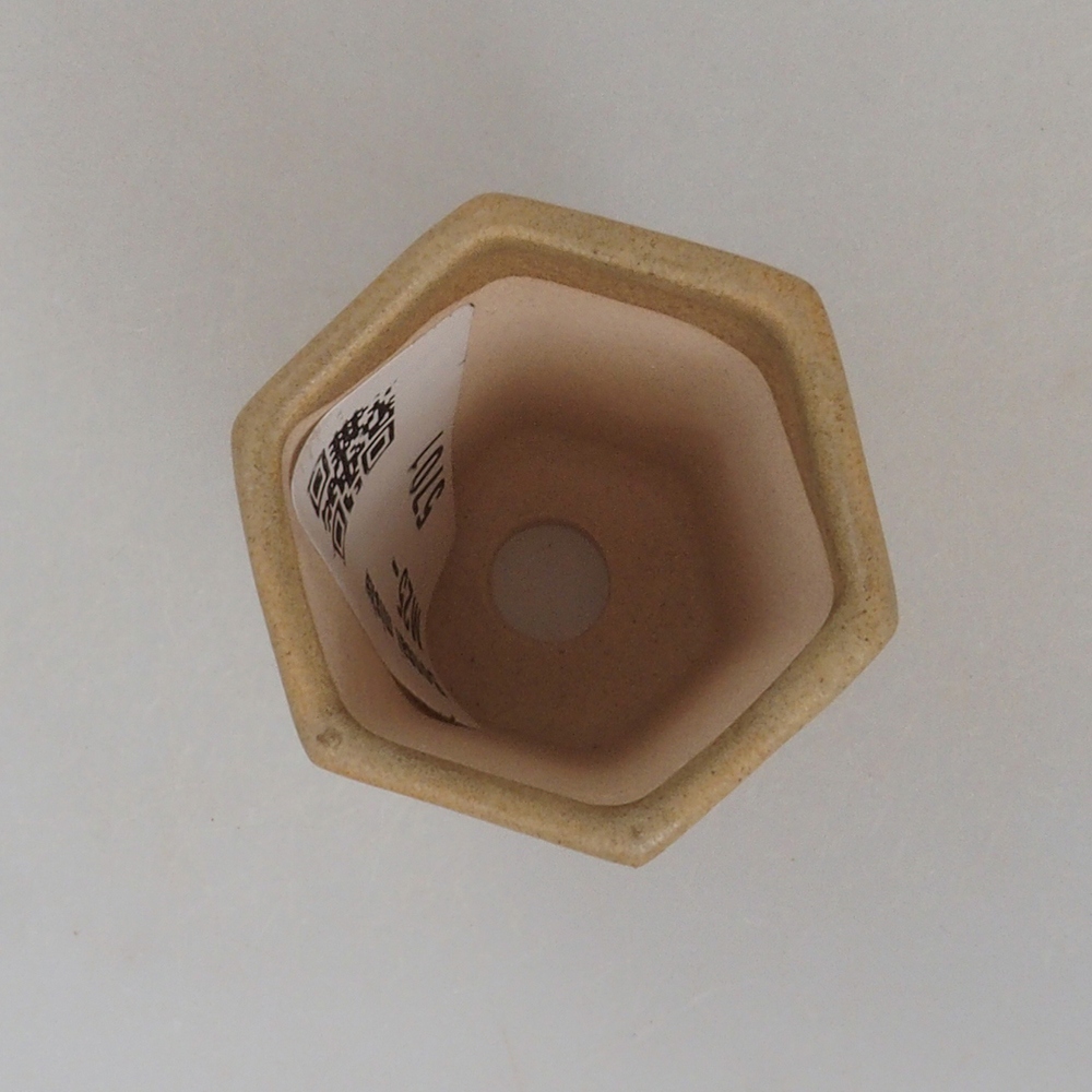 Ciotola per mini bonsai 4 x 3,5 x 5,5 cm, marrone