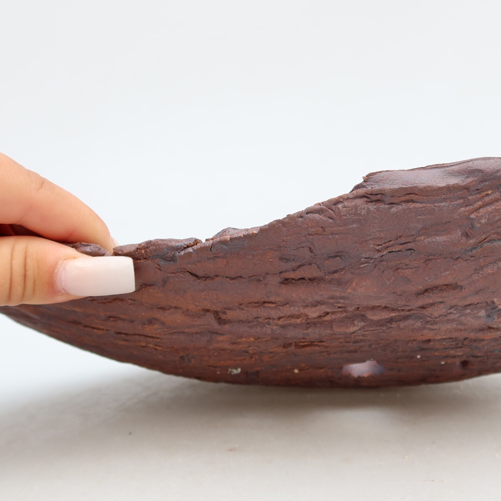 Guscio in ceramica  30,5 x 19 x 6 cm, colore marrone