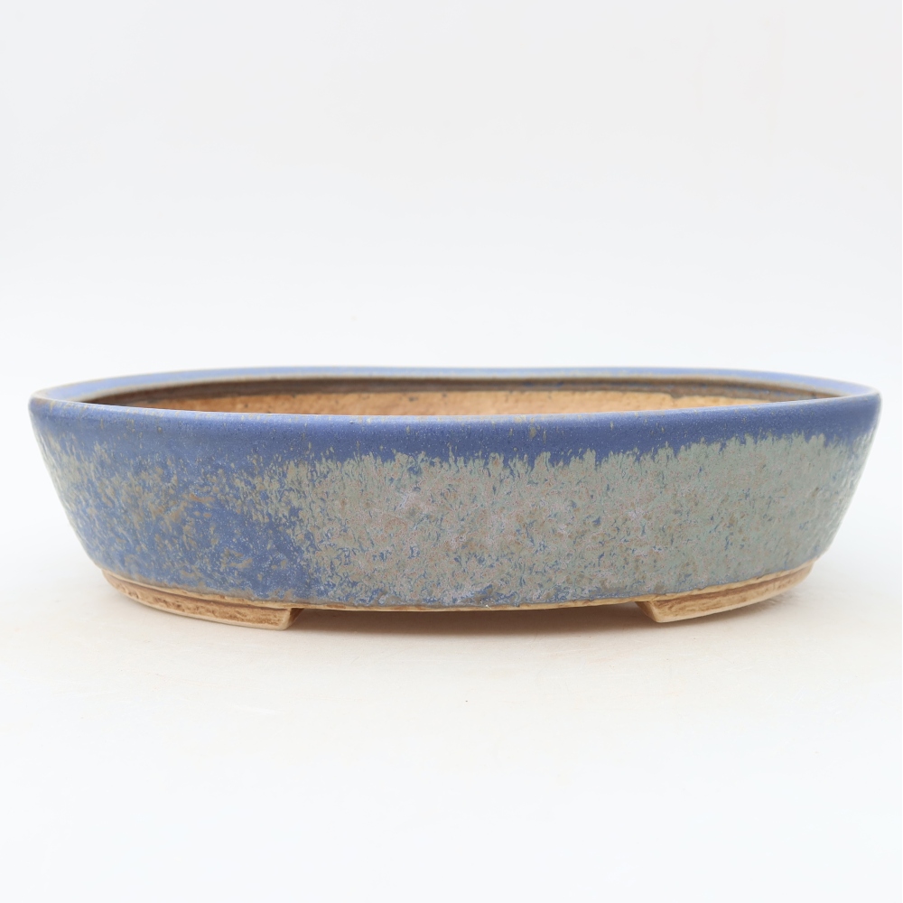 Vaso in ceramica per bonsai 27 x 24 x 5,5 cm, colore blu
