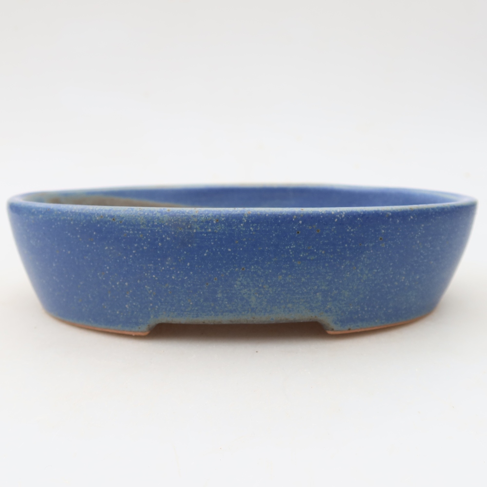 Vaso da bonsai in ceramica 17 x 14 x 4 cm, colore blu