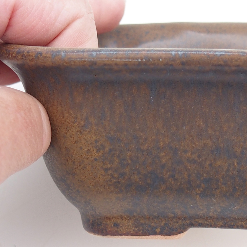 Ciotola per bonsai H11 - 11,5 x 10 x 4 cm.