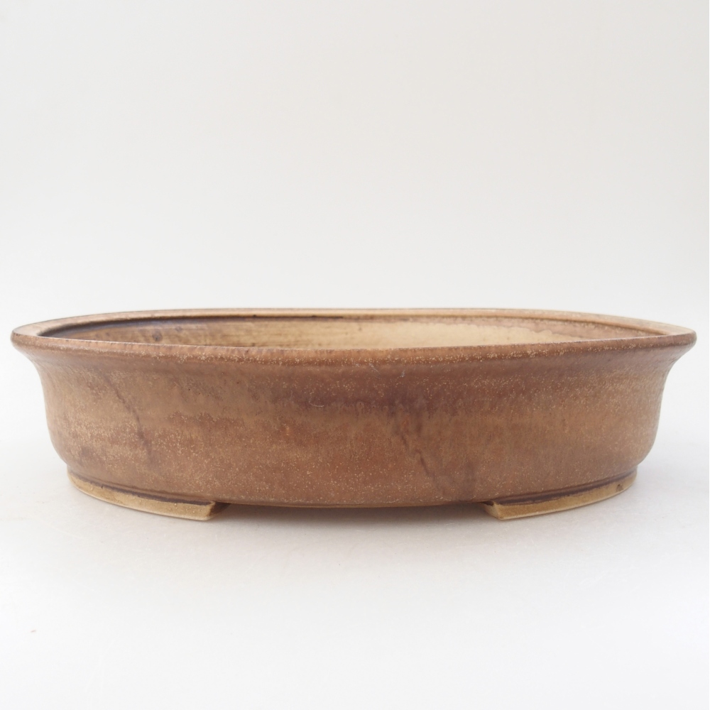 Ciotola bonsai in ceramica 26,5 x 23,5 x 5,5 cm, colore beige