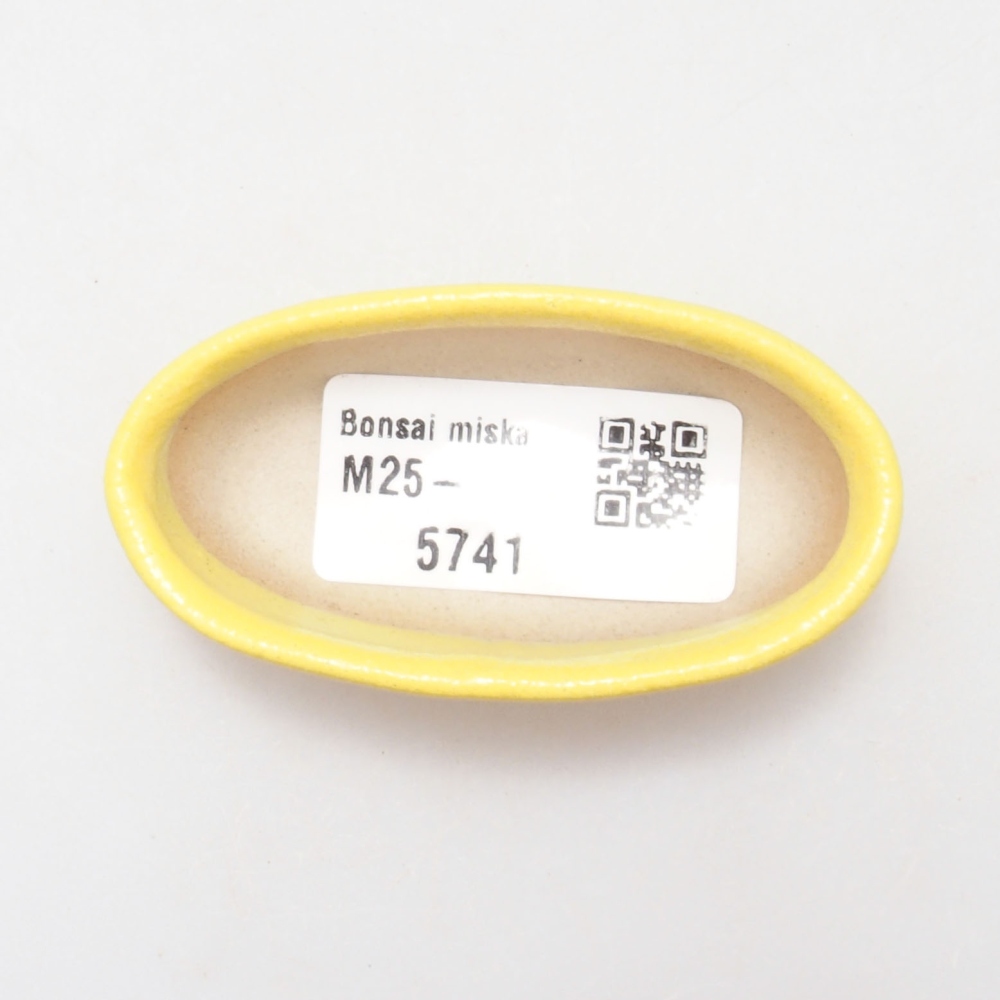 Ciotola per bonsai in ceramica 6,5 x 3,5 x 2 cm, giallo