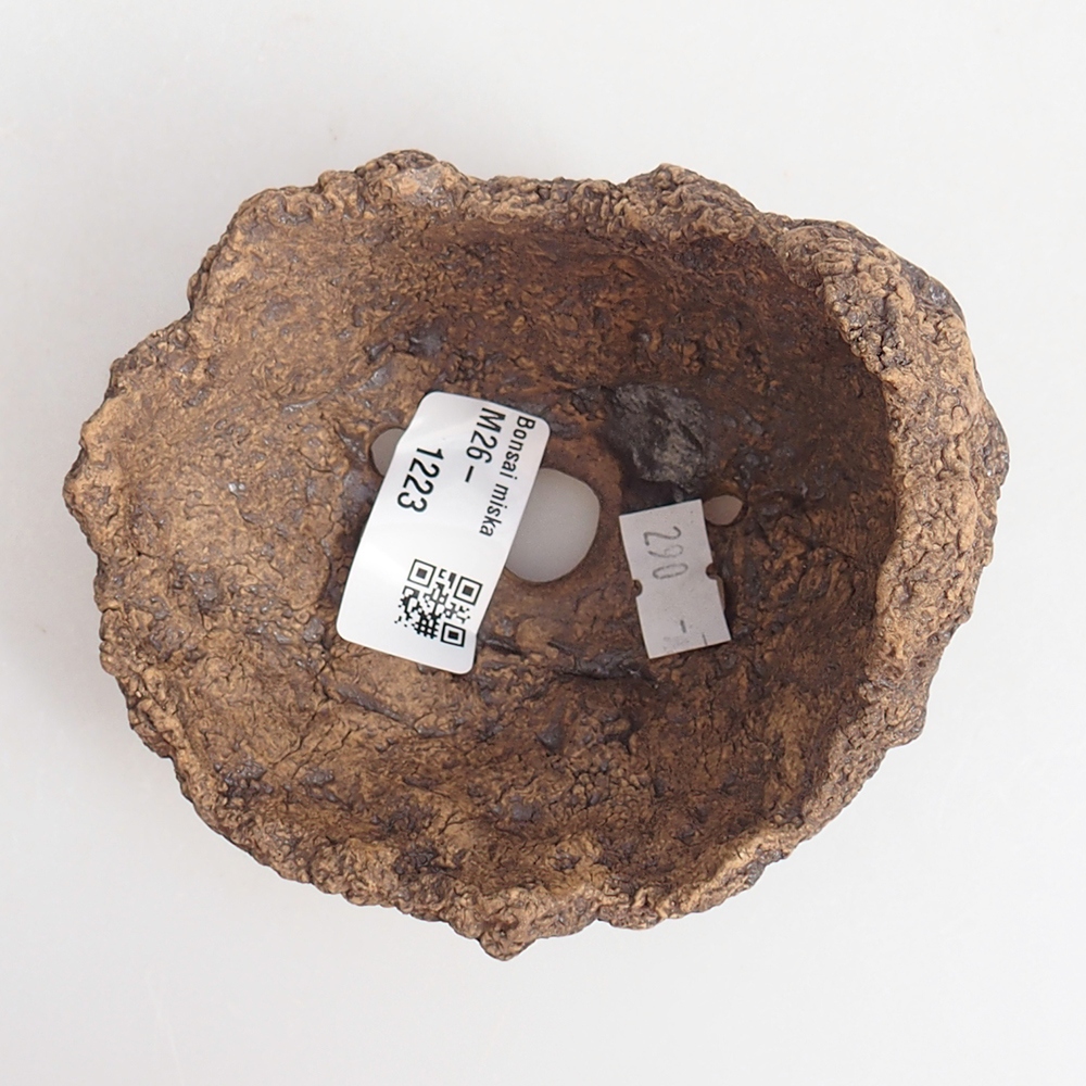 Conchiglia in ceramica 10 x 8 x 9 cm , colore marrone