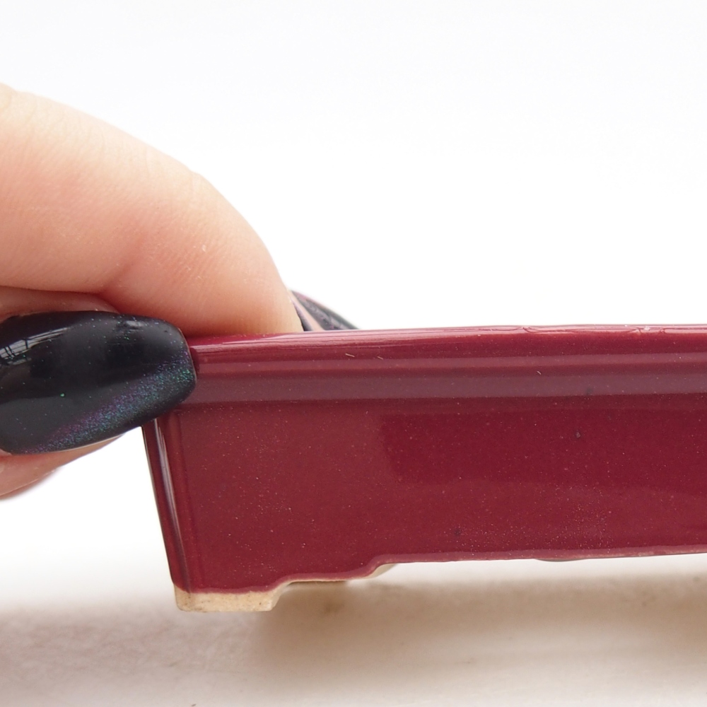 Mini bonsai 7,5 x 5 x 2 cm, bordeaux