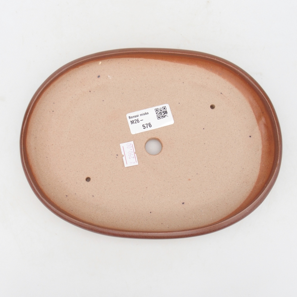 Ciotola per bonsai in ceramica 22 x 17 x 3 cm, marrone