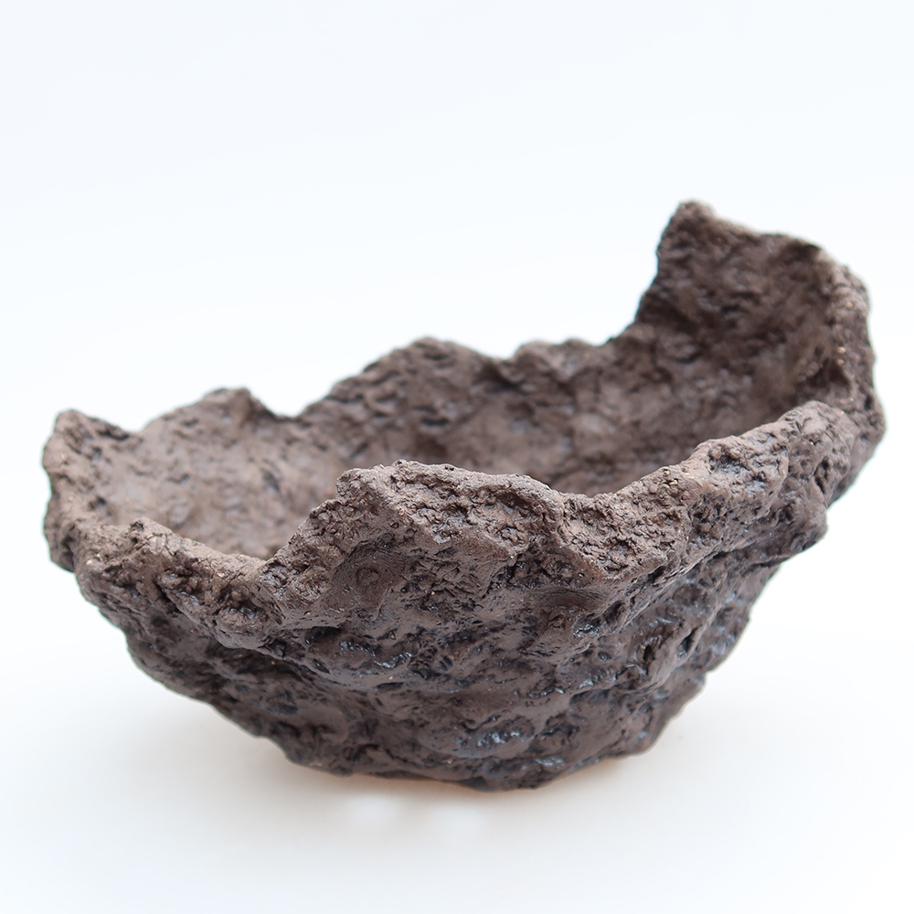 Conchiglia in ceramica 14 x 12 x 11 cm, colore marrone