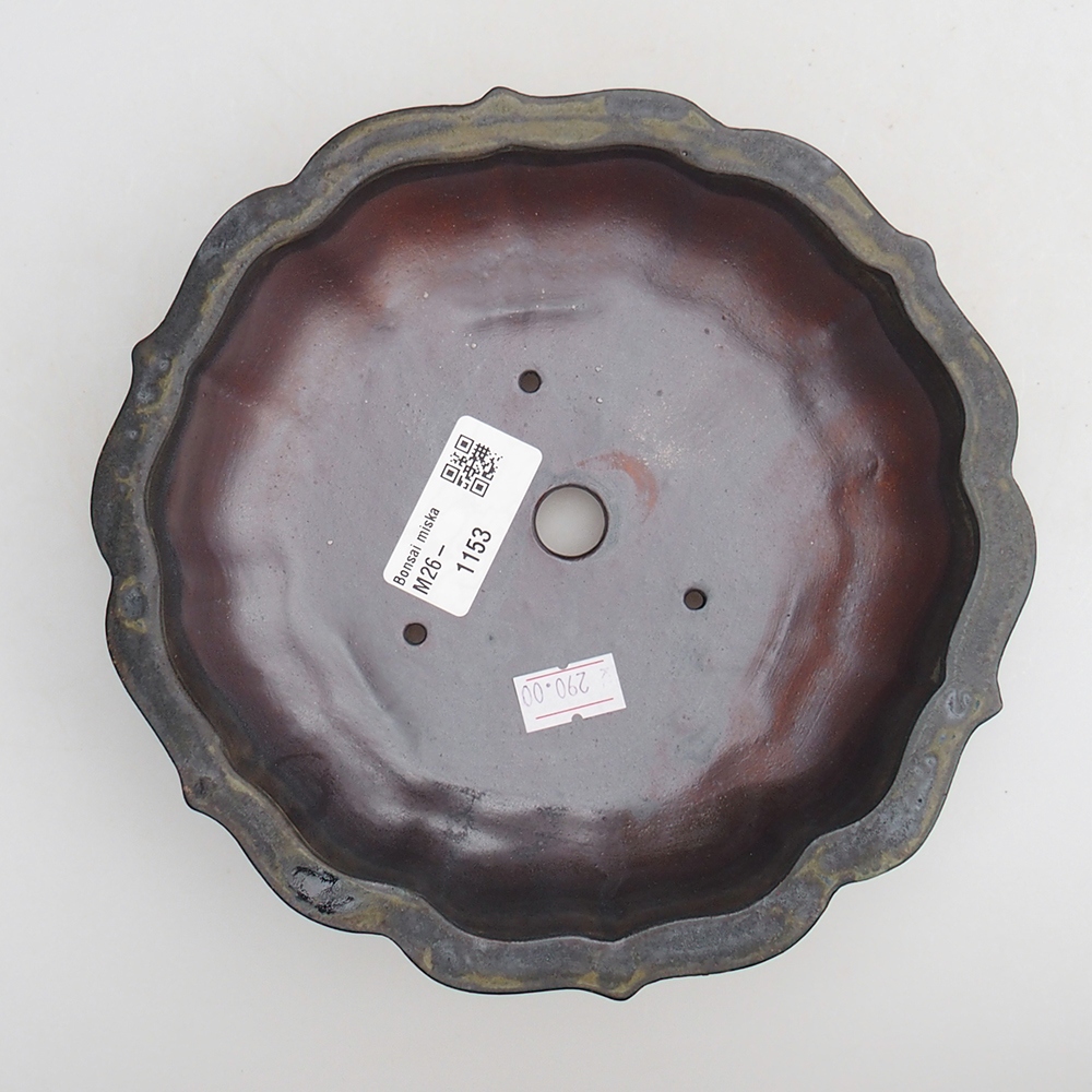 Ciotola per bonsai in ceramica 18 x 18 x 4,5 cm, marrone