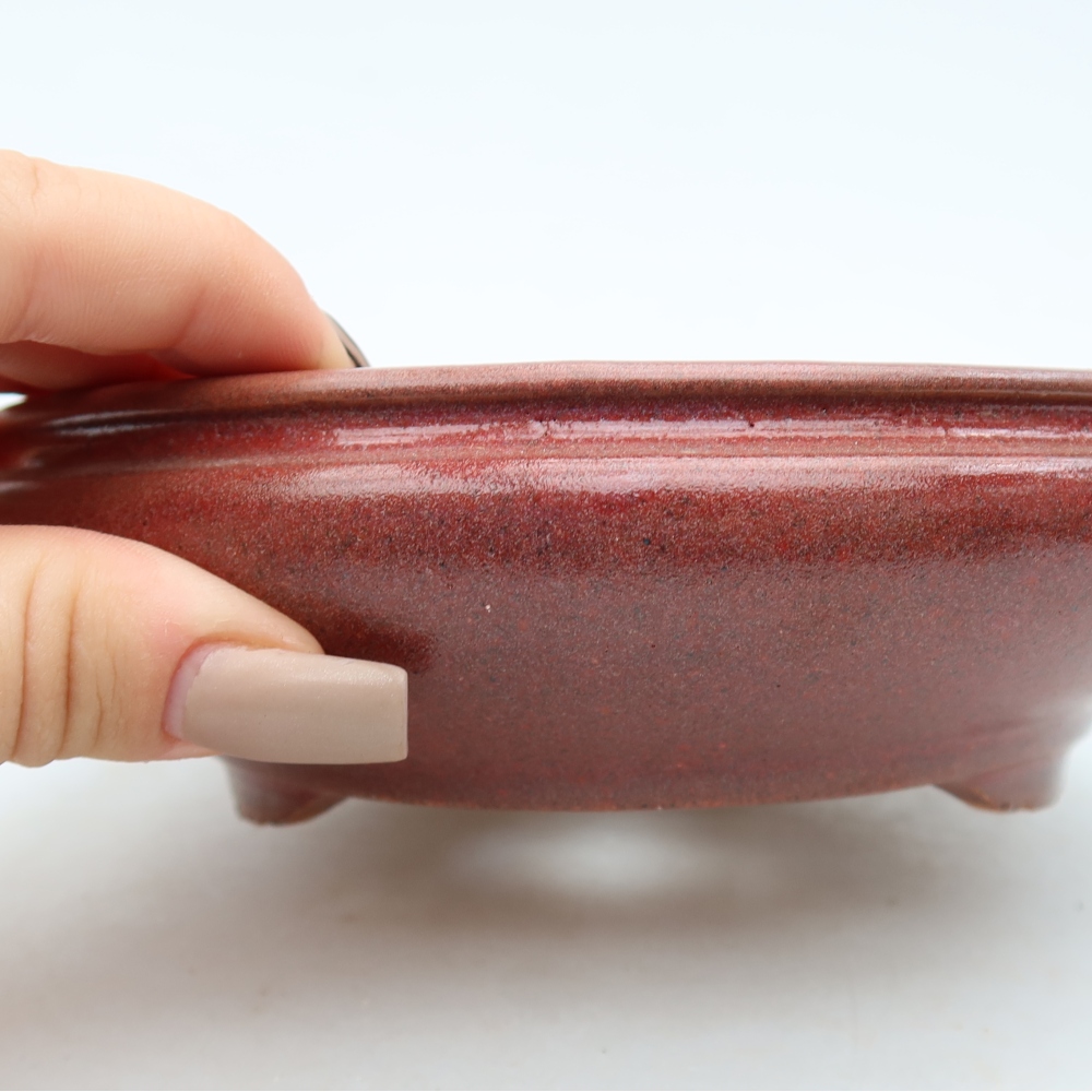 Vaso da bonsai in ceramica 15 x 15 x 5 cm, colore bordeaux
