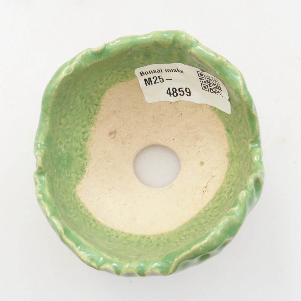 Conchiglia in ceramica 7 x 7 x 5 cm , colore verde