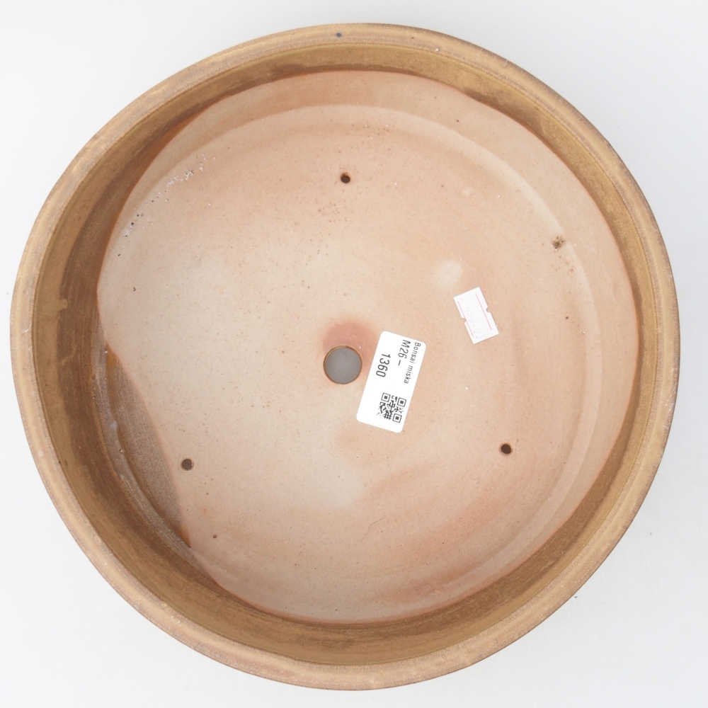 Ciotola per bonsai in ceramica 24,5 x 24,5 x 7 cm, colore beige
