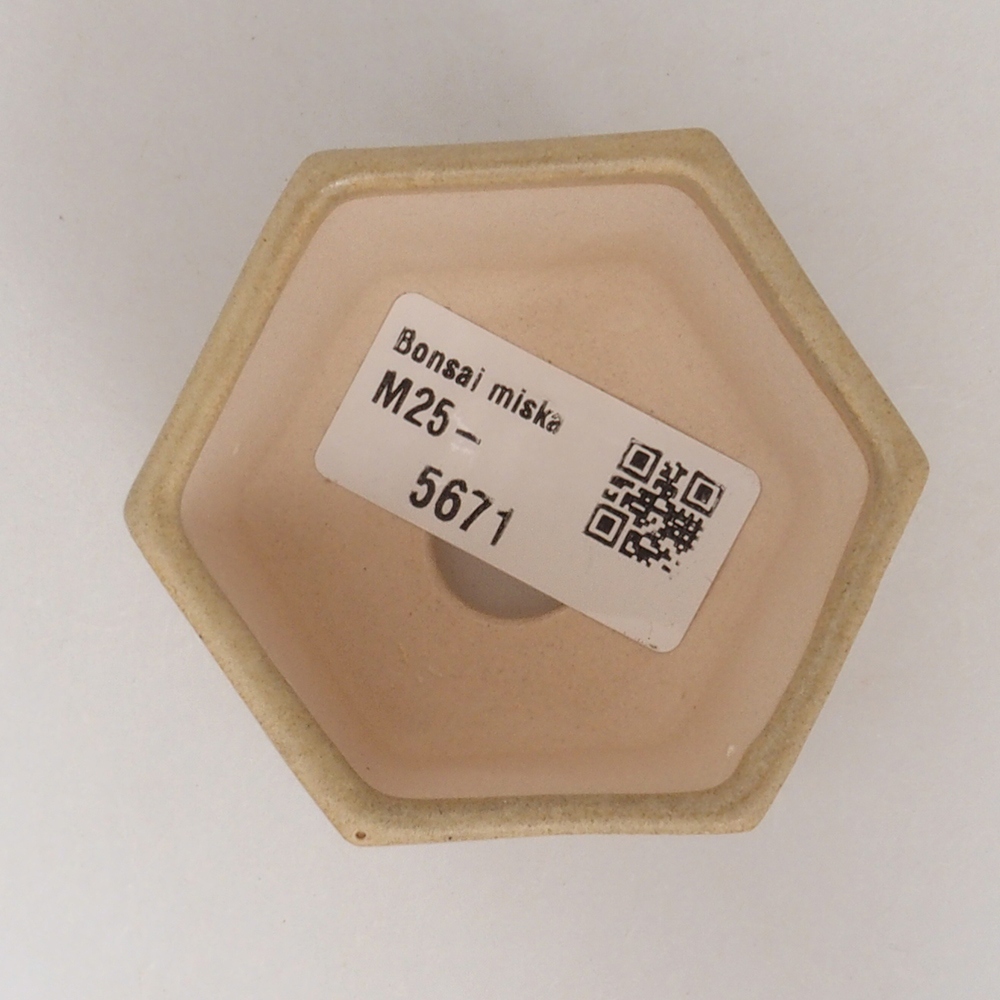 Ciotola per mini bonsai 7 x 5,5 x 4,5 cm, marrone