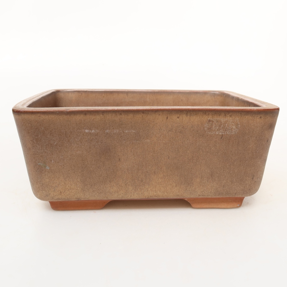 Guscio in ceramica  19,5 x 15 x 8,5 cm, colore marrone