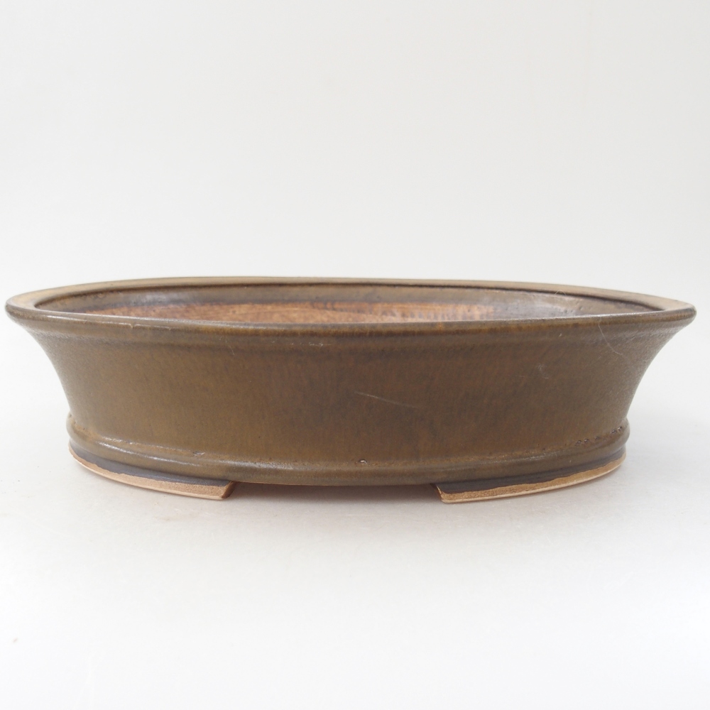 Ciotola per bonsai in ceramica 27 x 24 x 6 cm, marrone