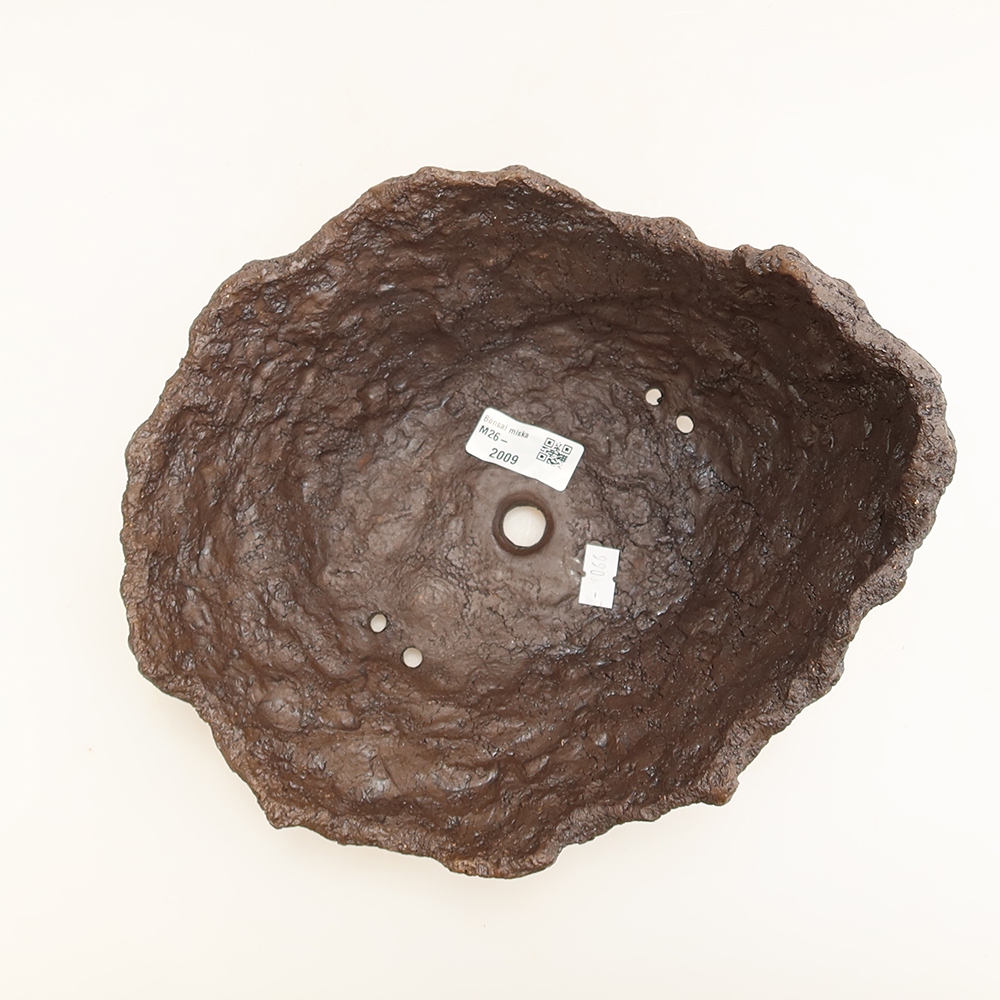 Conchiglia in ceramica 22 x 18 x 17 cm, colore marrone