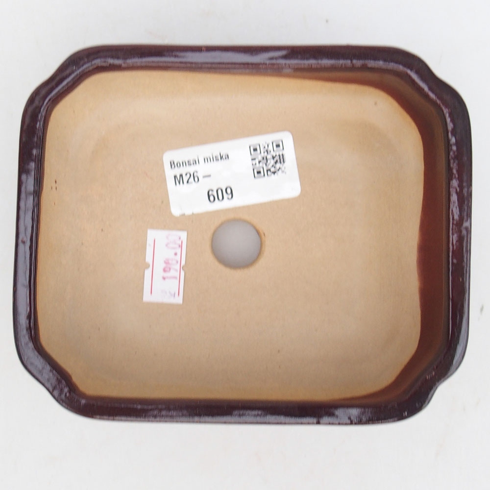 Ciotola per bonsai in ceramica 12 x 10,5 x 4 cm, marrone