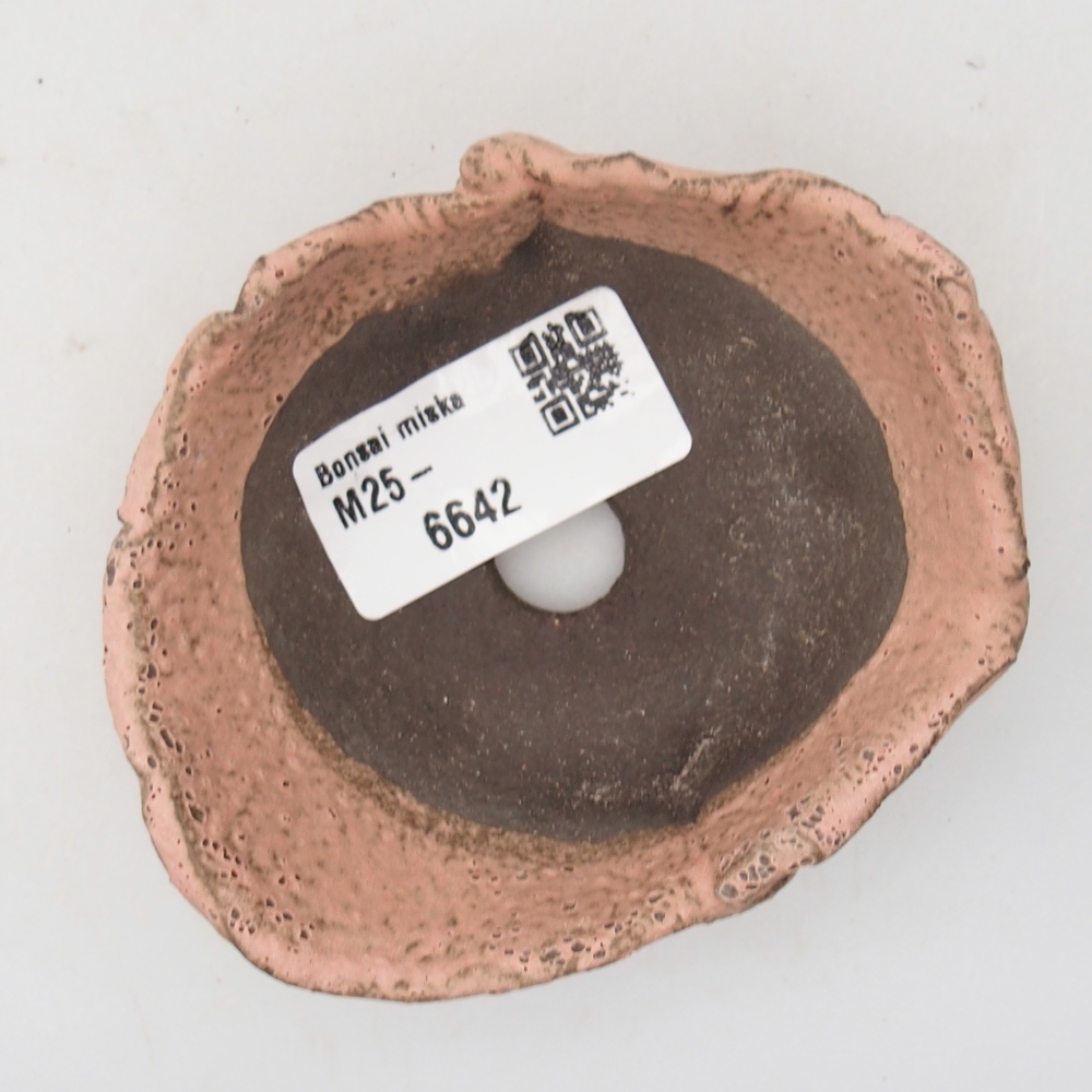 Conchiglia in ceramica 9 x 7,5 x 4 cm , colore rosa