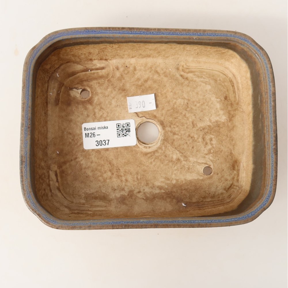 Vaso in ceramica per bonsai 18 x 14 x 4,5 cm, colore blu