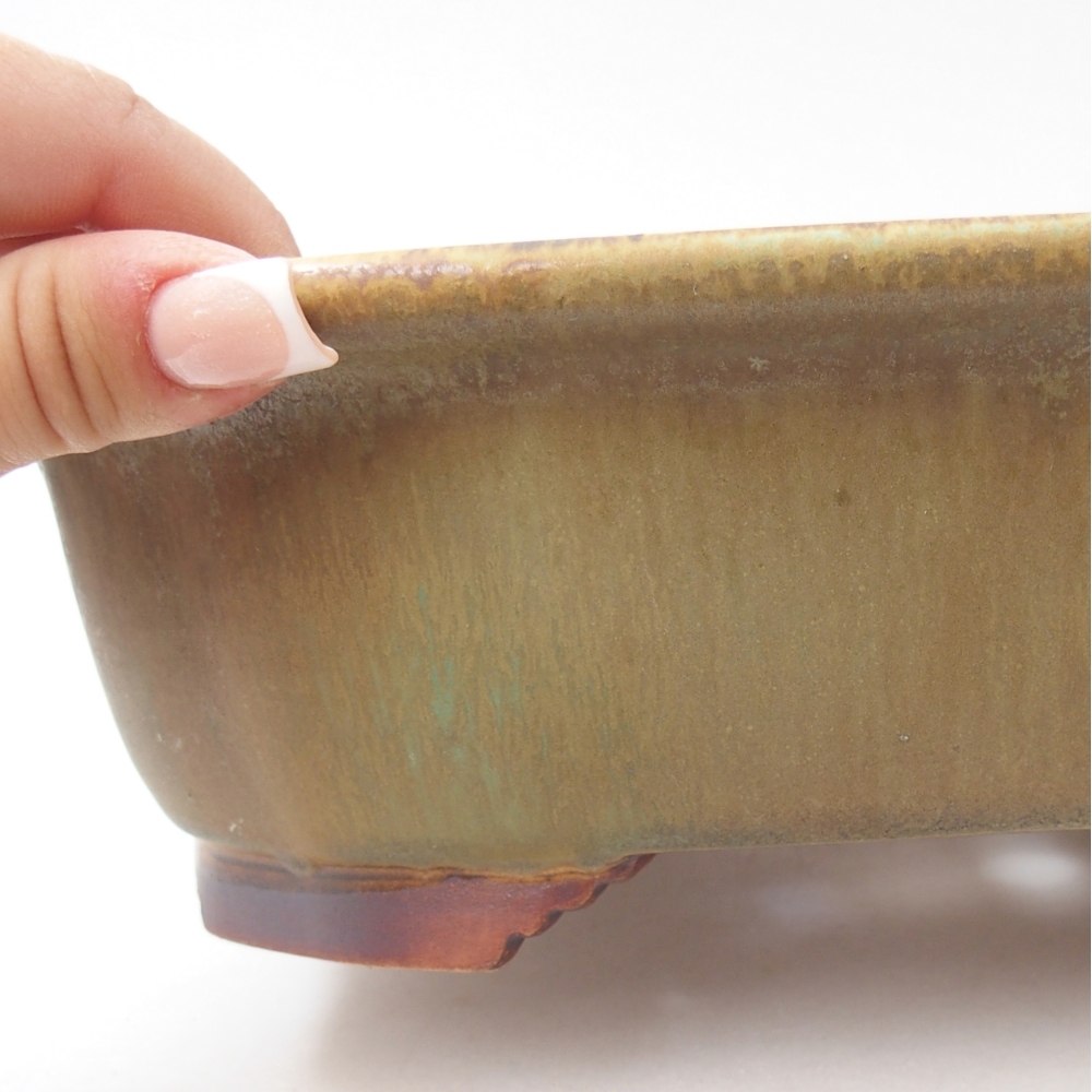 Ciotola per bonsai in ceramica 25 x 21 x 8 cm, verde