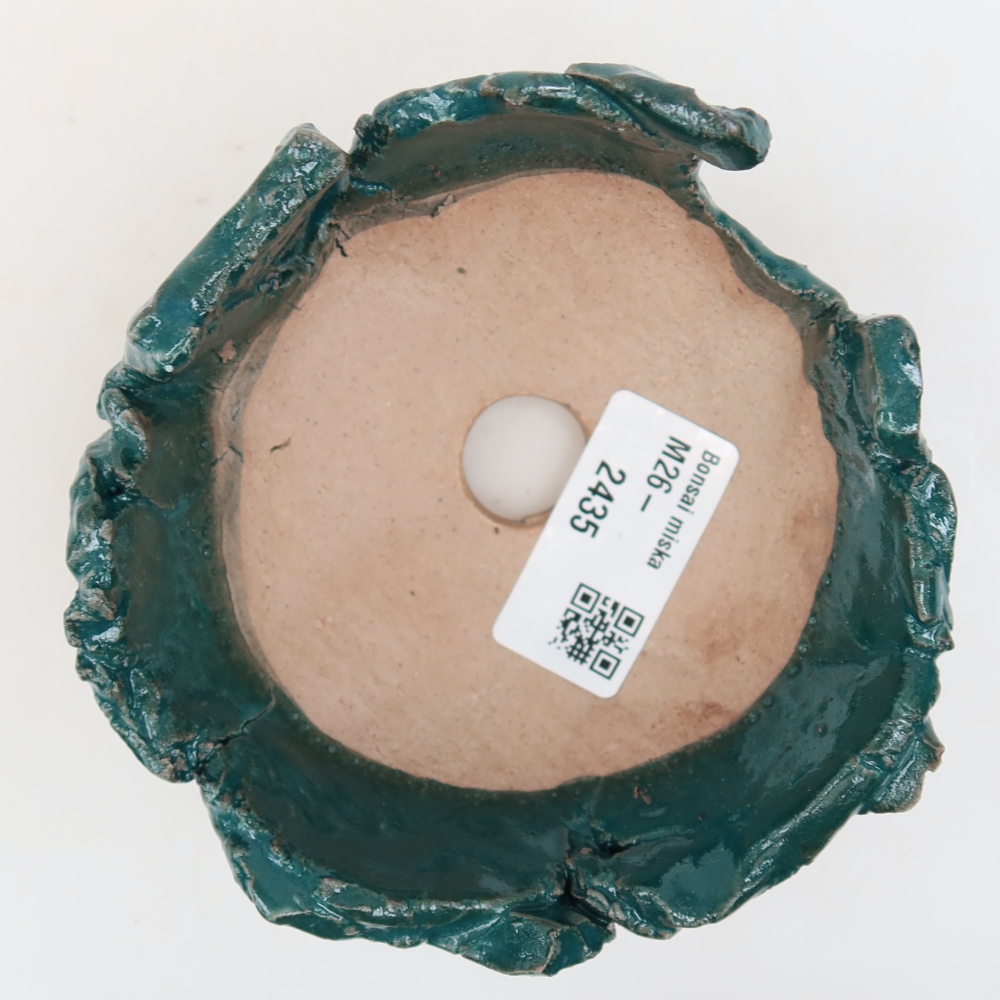 Guscio in ceramica  10,5 x 10,5 x 6 cm, colore verde
