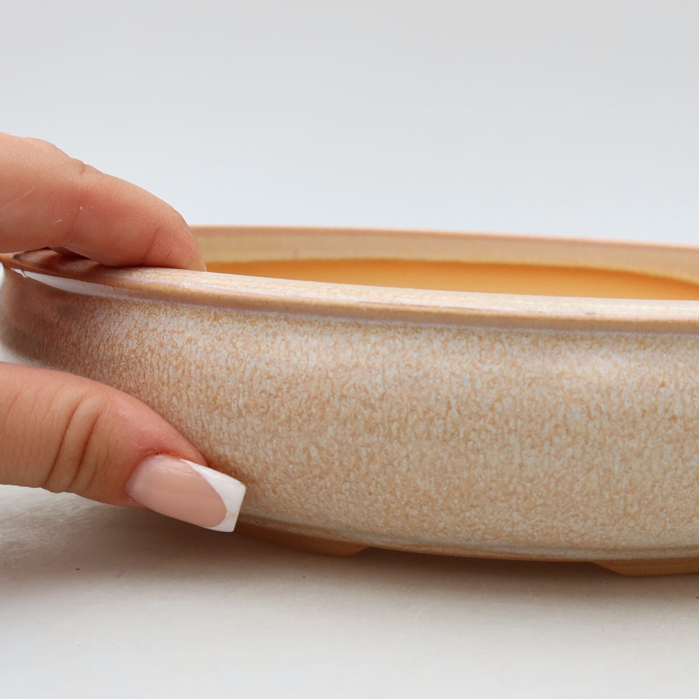 Vaso da bonsai in ceramica 26,5 x 26,5 x 5,5 cm, colore beige