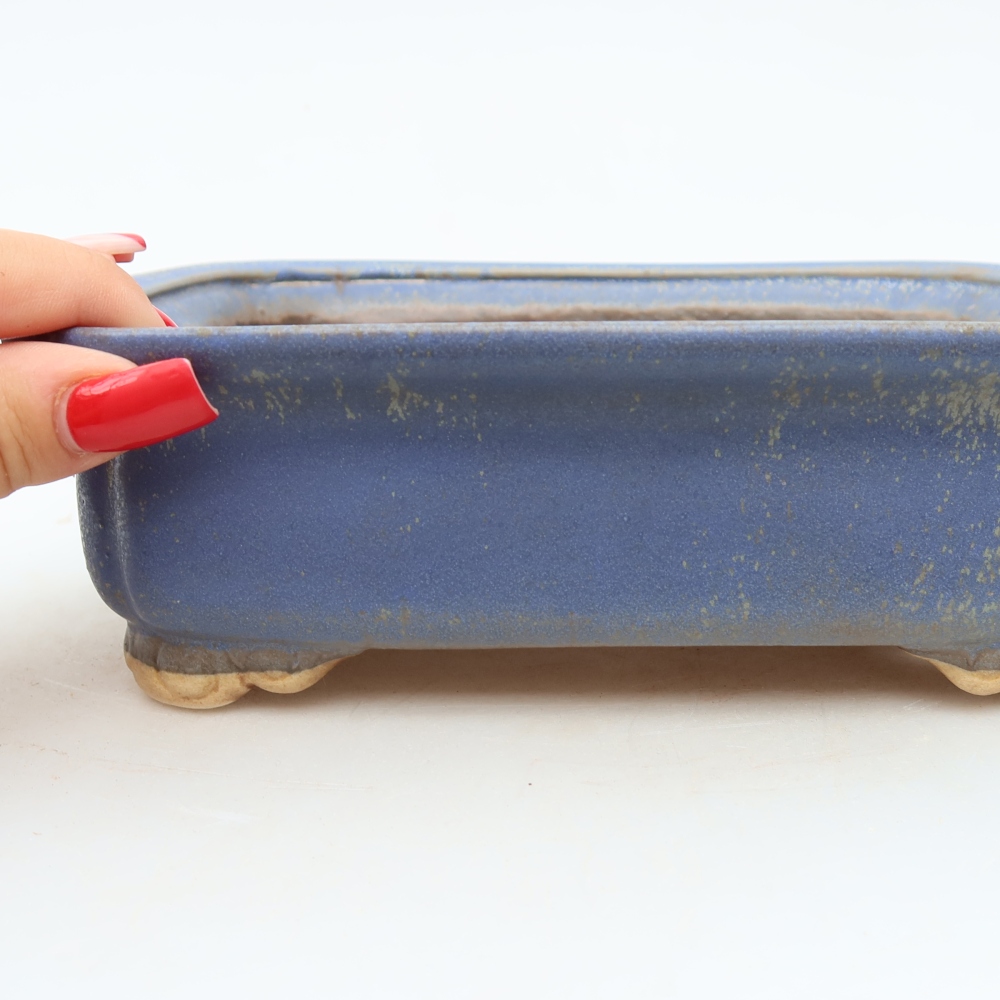 Vaso in ceramica per bonsai 20 x 17,5 x 6 cm, colore blu