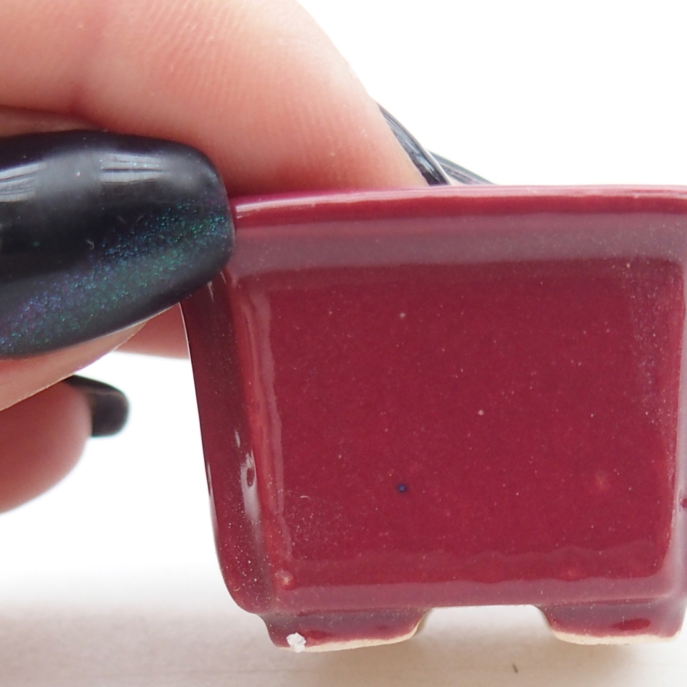 Mini bonsai 3,5 x 3,5 x 2 cm, bordeaux