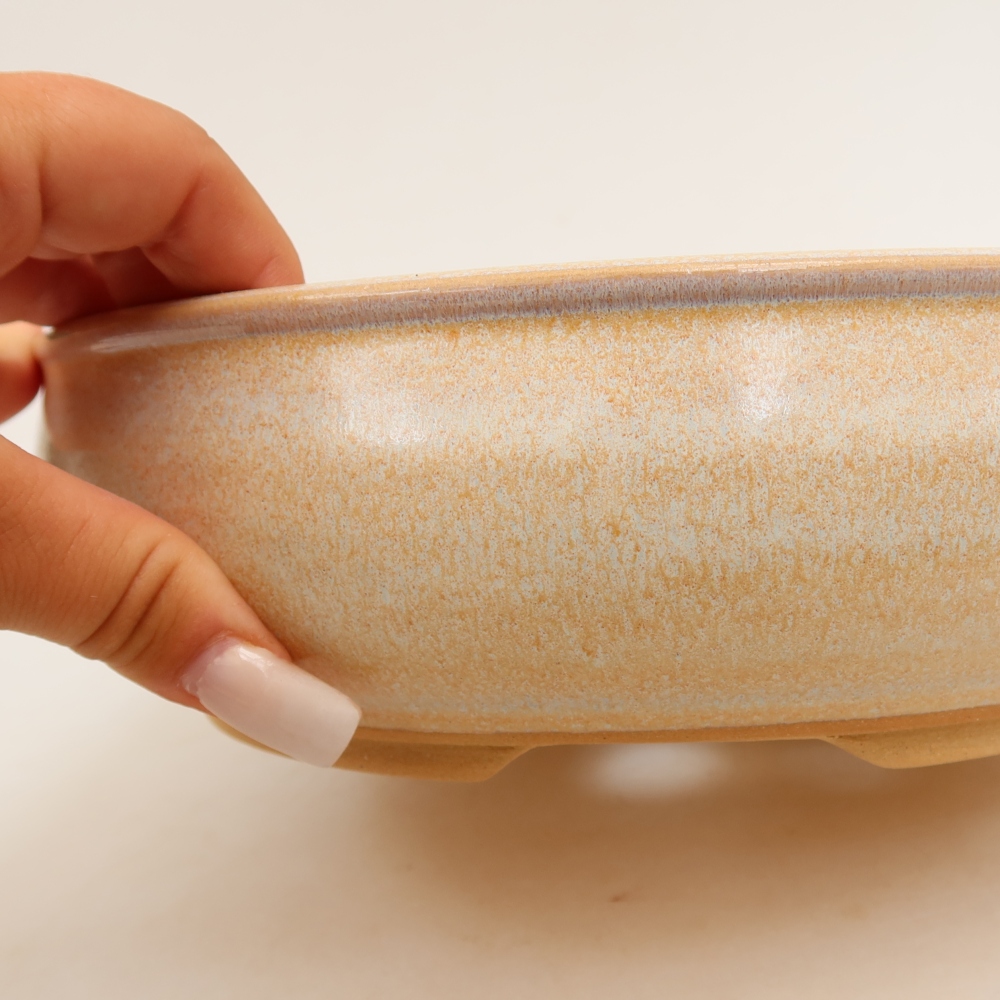 Vaso da bonsai in ceramica 22,5 x 22,5 x 6,5 cm, colore beige