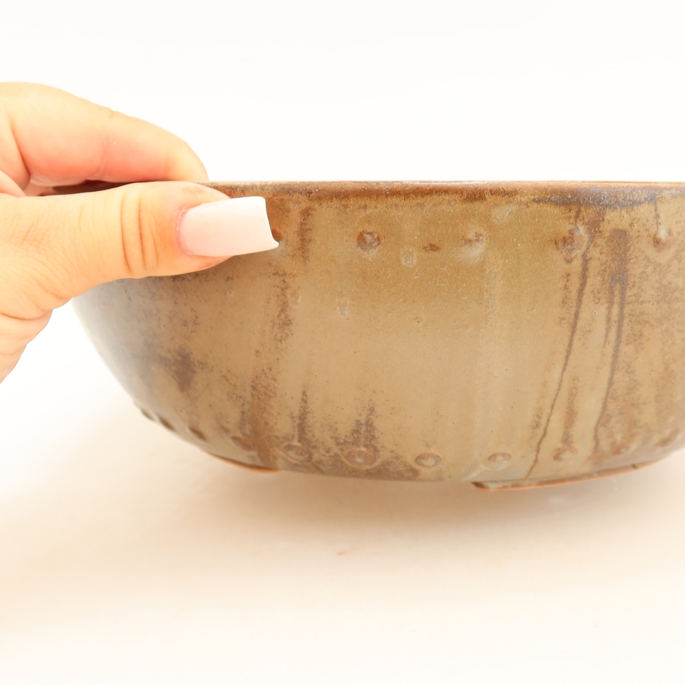 Ciotola per bonsai in ceramica 24,5 x 24,5 x 7,5 cm, marrone