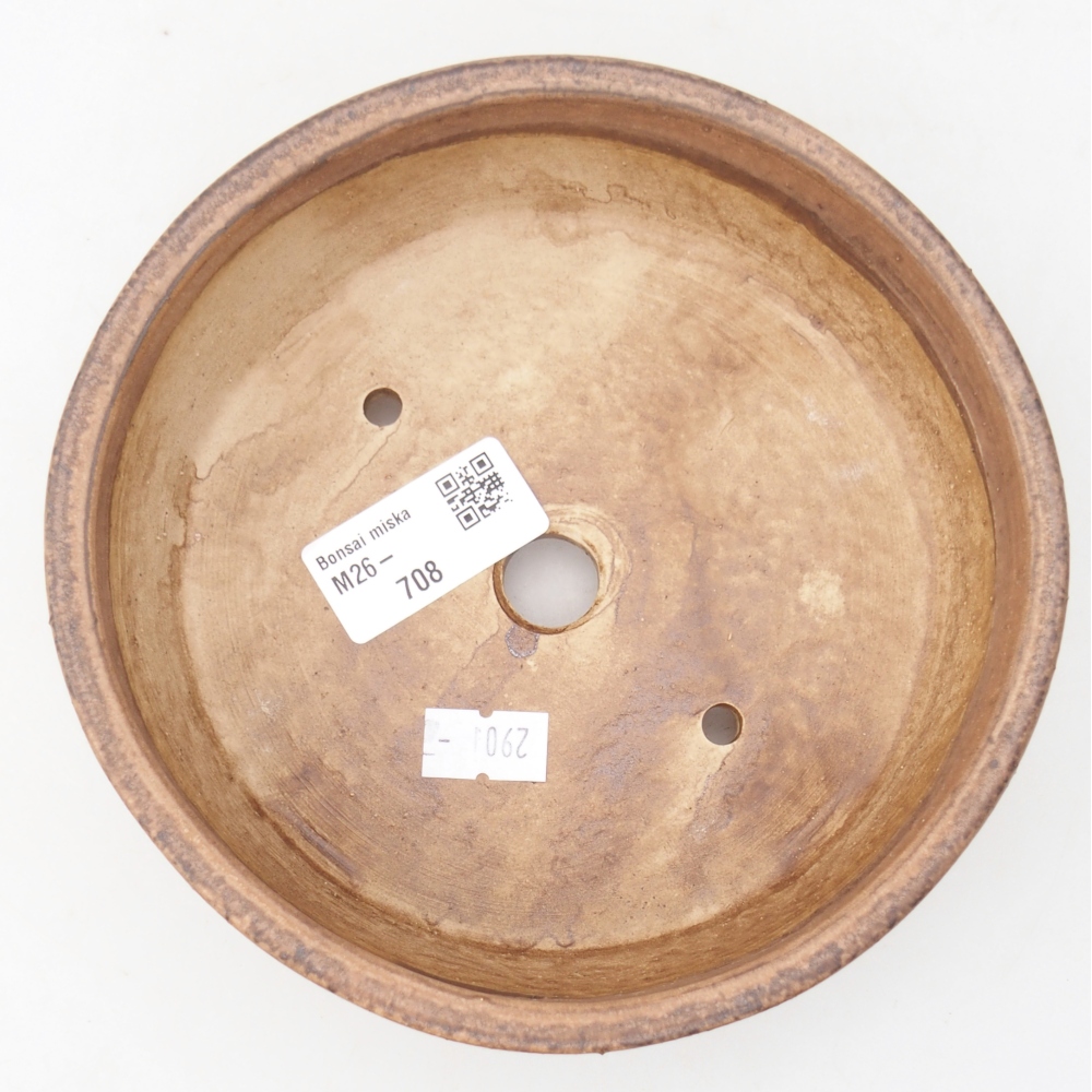 Ciotola per bonsai in ceramica 15,5 x 15,5 x 5 cm, rosa