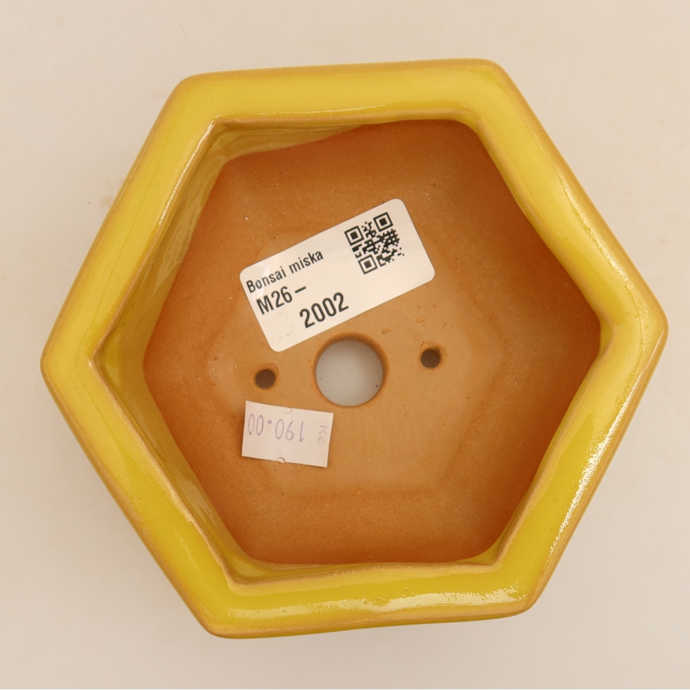 Vaso da bonsai in ceramica 12 x 10,5 x 4 cm, colore giallo