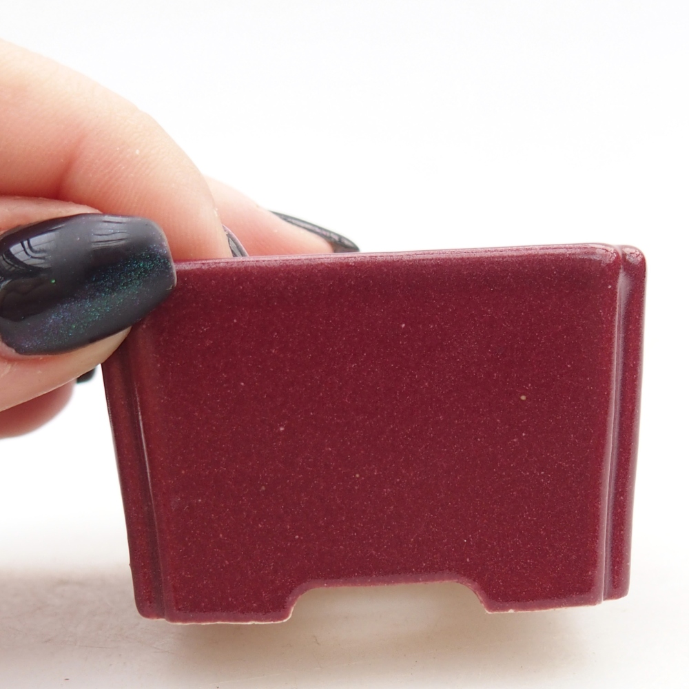 Ciotola per mini bonsai 5 x 5 x 3 cm, bordeaux