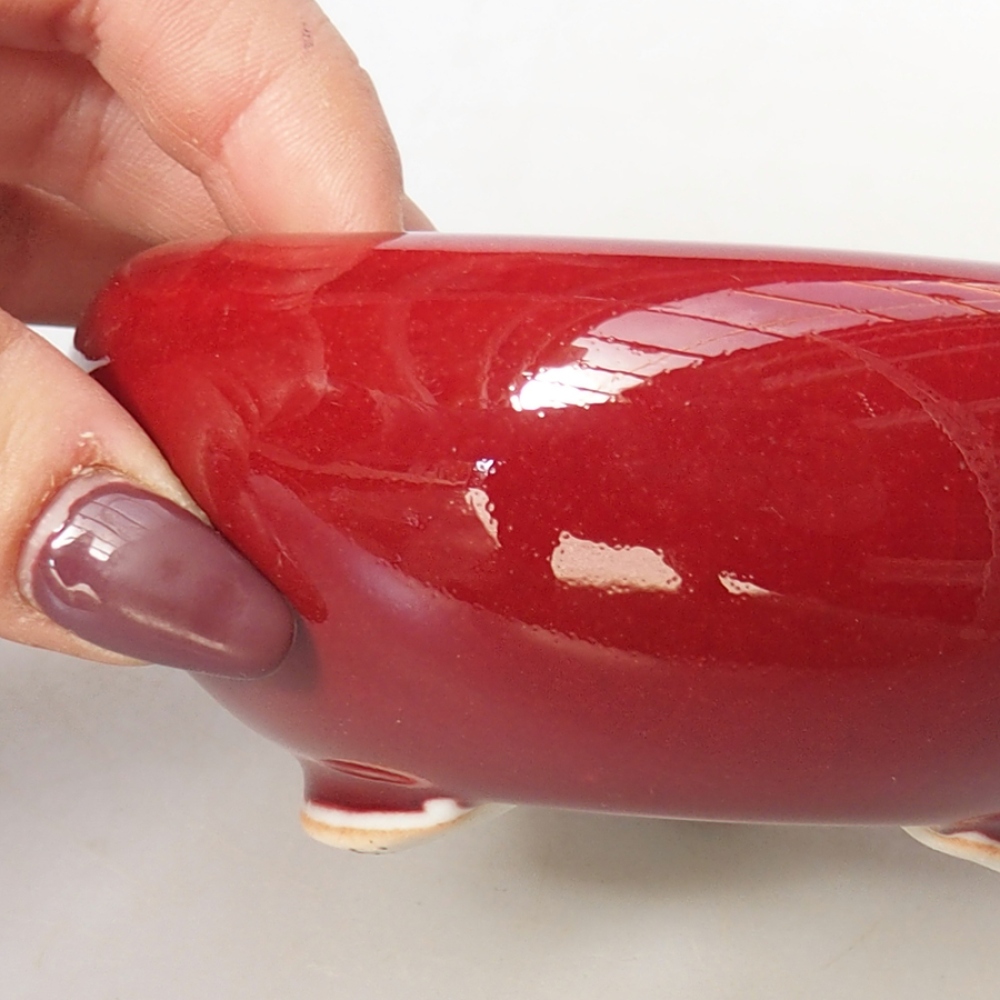 Ciotola per bonsai in ceramica 10,5 x 10,5 x 4,5 cm, colore rosso