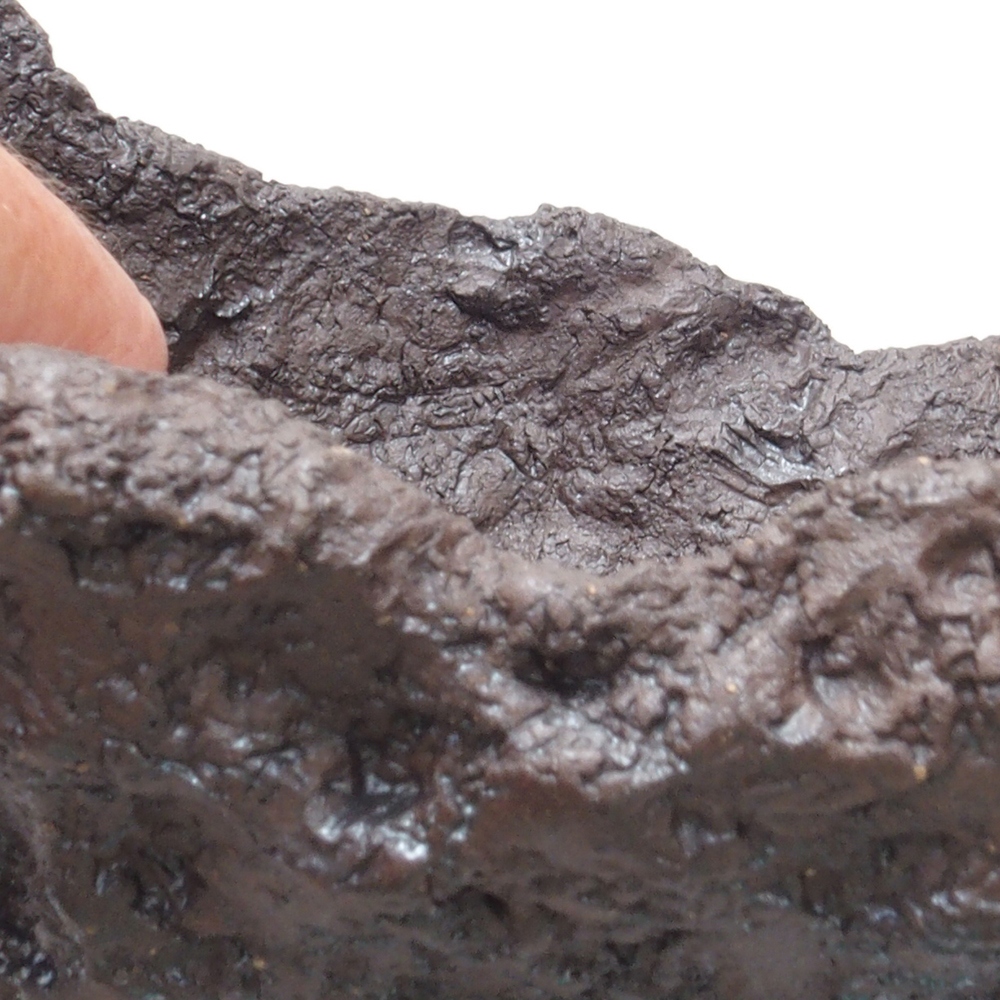 Conchiglia in ceramica 18 x 14 x 14 cm , colore marrone