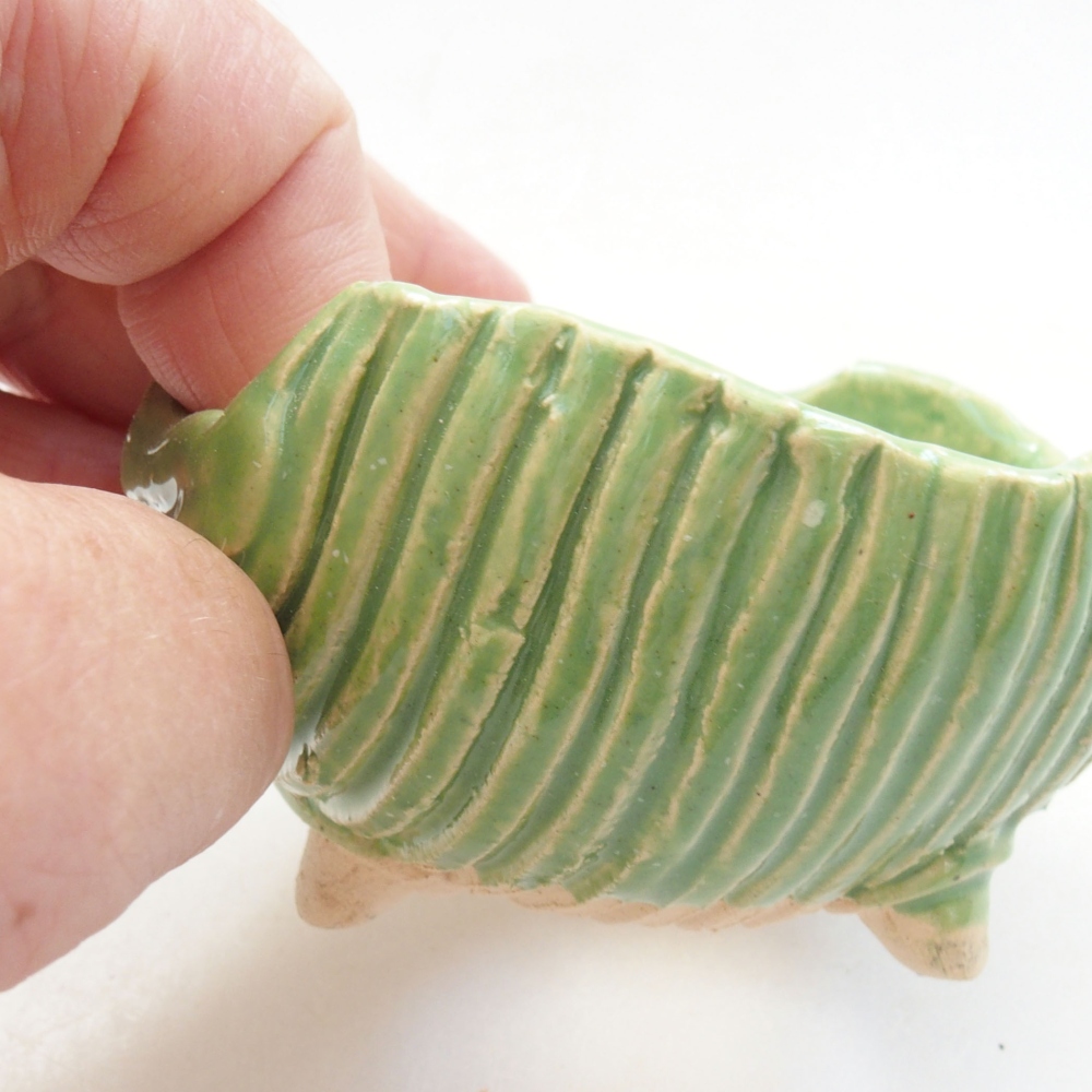 Conchiglia in ceramica 7,5 x 7 x 4,5 cm , colore verde