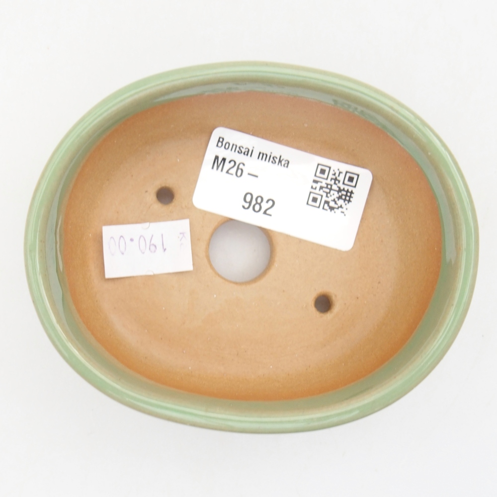 Ciotola per bonsai in ceramica 9 x 7,5 x 3,5 cm, verde